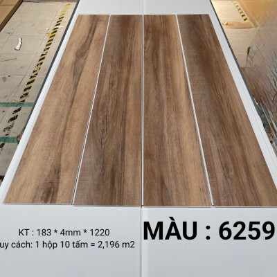 Sàn nhựa hèm khoá 4mm 6259