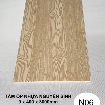 Tấm ốp Nano N06