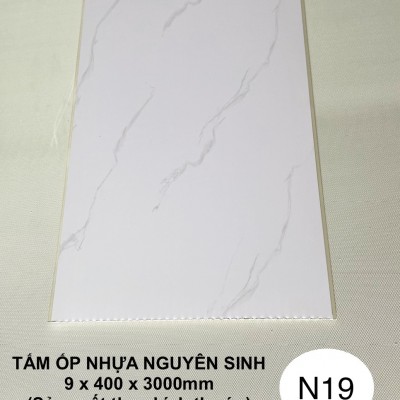Tấm ốp Nano N19